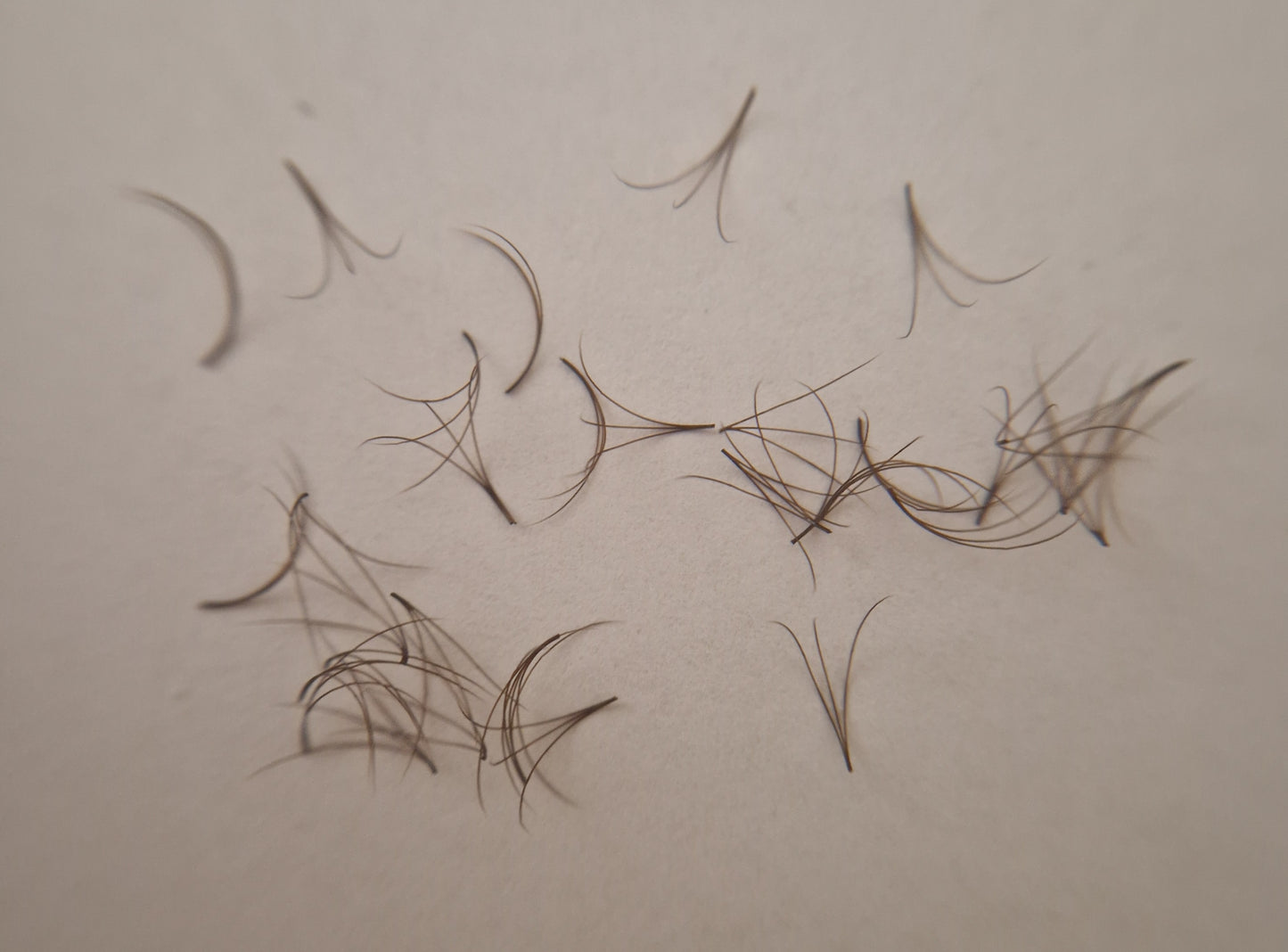 Bouquets prefaits marron foncé boîte mixte